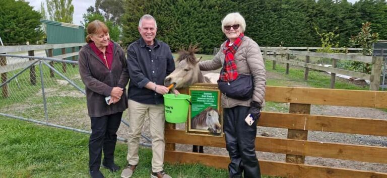 From Christchurch: Sheep Farm Experience with Lunch & Winery - The Group Size and Comfort