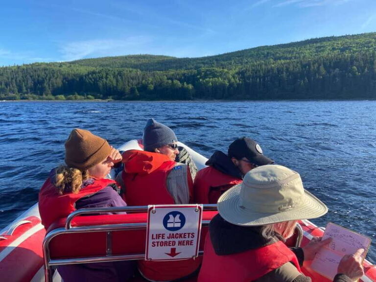 From Corner Brook : Bay Of Islands Island Zodiac Boat Tour - Practical Details and Considerations