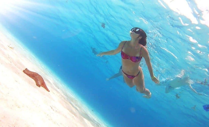 From Cozumel: El Cielo Beach by Catamaran Snorkeling Tour - The Slight Downsides