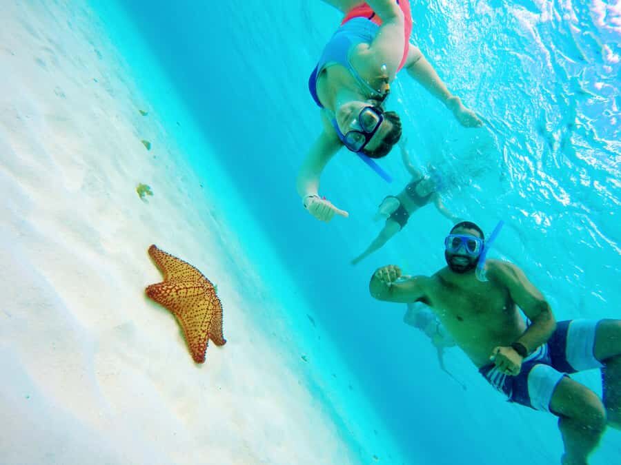 From Cozumel: Starfish, Stingrays and the Turtle Sanctuary - Playa El Cielo
