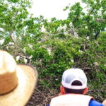 From Crucecita: Ventanilla, Zipolite, and Puerto Ángel Tour - A Closer Look at the Itinerary