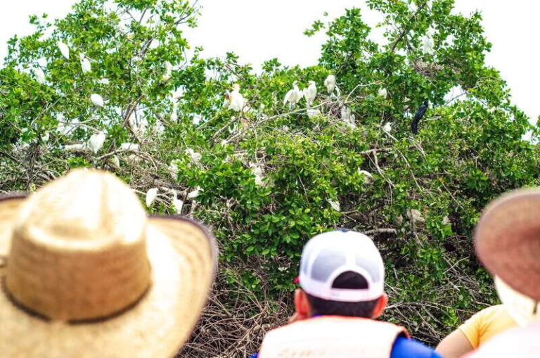 From Crucecita: Ventanilla, Zipolite, and Puerto Ángel Tour - A Closer Look at the Itinerary