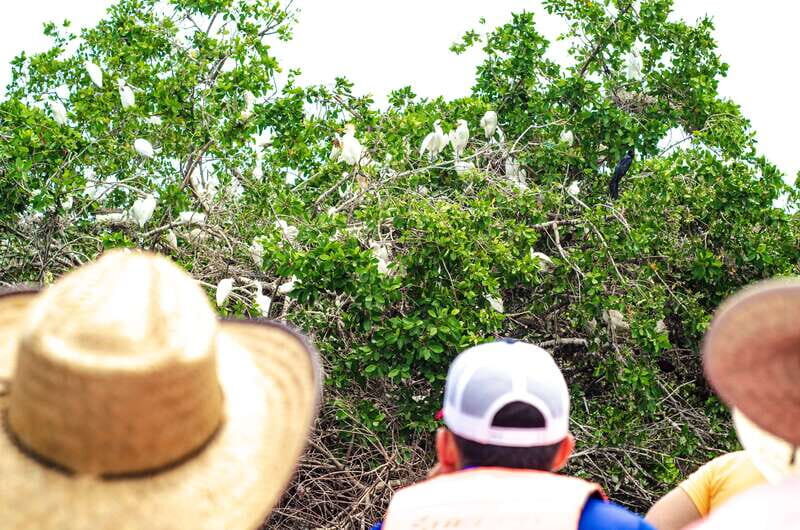 From Crucecita: Ventanilla, Zipolite, and Puerto Ángel Tour - A Closer Look at the Itinerary