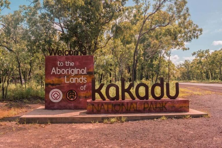 From Darwin: 2-Day Kakadu Cooinda & Yellow Water Cruise - The Full Experience: What to Expect on Your Kakadu Adventure
