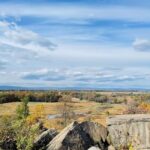 From DC: Gettysburg National Military Park Full-Day Trip - What the Tour Offers: An In-Depth Look