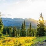 From Denver: Red Rocks and Foothills Half-Day Guided Tour - Is It Worth the Price? Analyzing the Value