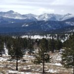 From Denver: Rocky Mountain National Park Winter/Spring Tour - Why This Tour Might Be Worth It