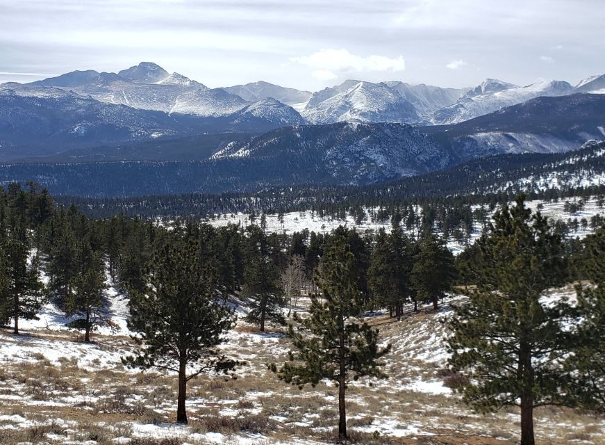 From Denver: Rocky Mountain National Park Winter/Spring Tour - Why This Tour Might Be Worth It