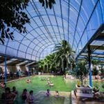 From Denver: Small Group Mount Evans & Hot Springs Day Tour - How the Experience Fits Different Travelers