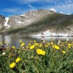 From Denver - Small group tour to Mount Evans /Mount Blue Sky - Considering the Cost: Is $285 per Person Worth It?