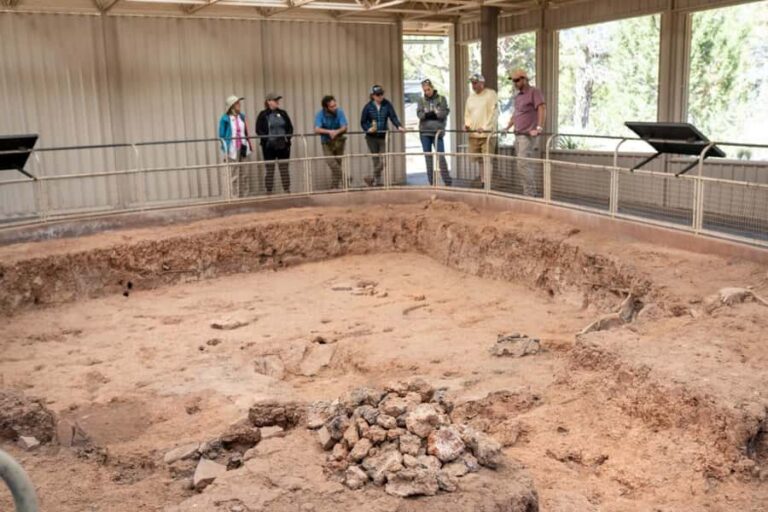 From Durango: Mesa Verde National Park Private Tour w/Lunch - Who Will Benefit Most from This Tour?