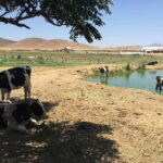 From Ensenada: Ojos Negros Valley Cheese & Wine Tasting Tour - Final Thoughts