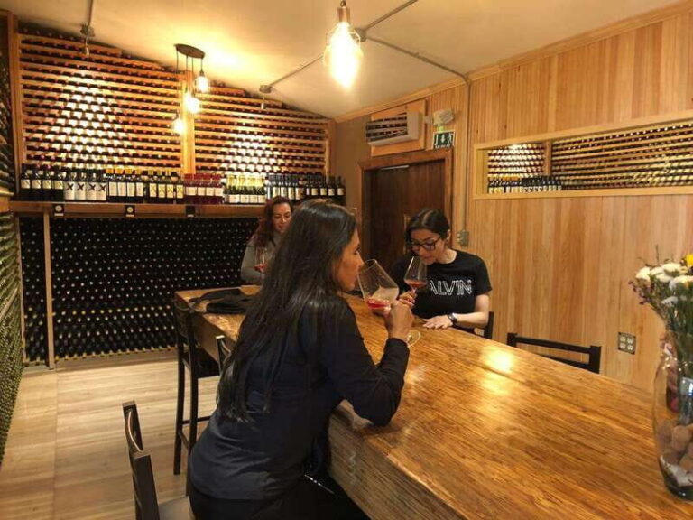 From Ensenada: Wine Tour at Guadalupe Valley Ensenada - Is It Worth the Price?