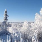 From Fairbanks: Northern Lights and Arctic Circle Tour - The Value and Practicalities