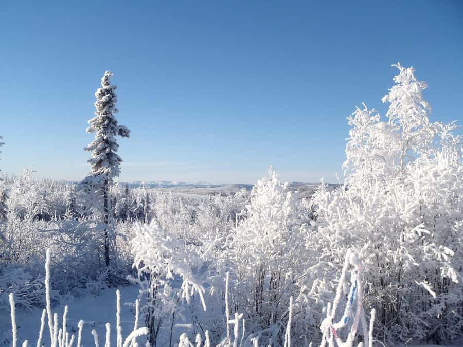 From Fairbanks: Northern Lights and Arctic Circle Tour - The Value and Practicalities