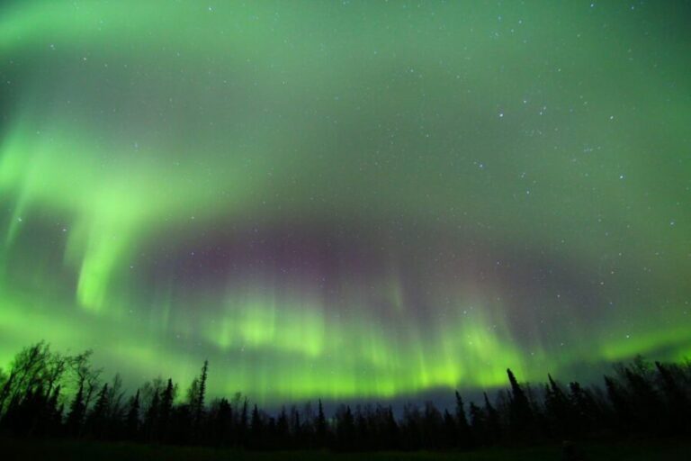 From Fairbanks: Northern Lights & Murphy Dome Tour - What to Expect During the Tour