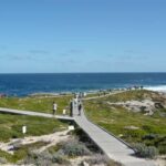 From Fremantle: Rottnest Island Ferry & Bus Day Tour - The Highlights: Why People Keep Coming Back