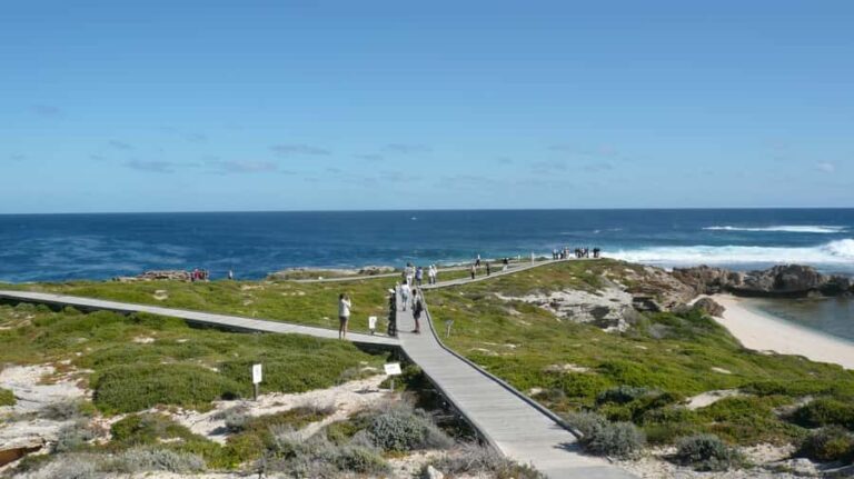 From Fremantle: Rottnest Island Ferry & Bus Day Tour - The Highlights: Why People Keep Coming Back