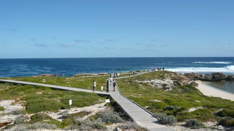 From Fremantle: Rottnest Island Ferry & Bus Day Tour - The Highlights: Why People Keep Coming Back