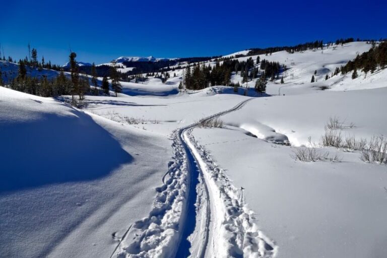 From Gardiner: Guided Yellowstone Cross-Country Skiing Tour - FAQs