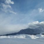 From Gardiner: Yellowstone National Park Snowshoe Tour - The Value of This Tour