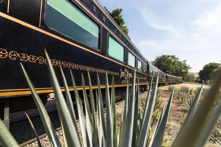 From Guadalajara: La Rojeña Distillery & Jose Cuervo Train - Is This Tour Worth It?