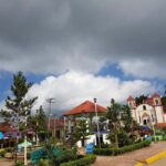 From Huatulco: 3 Levels, Coffee, Culture, and Nature Tour - Who Will Love This Tour?