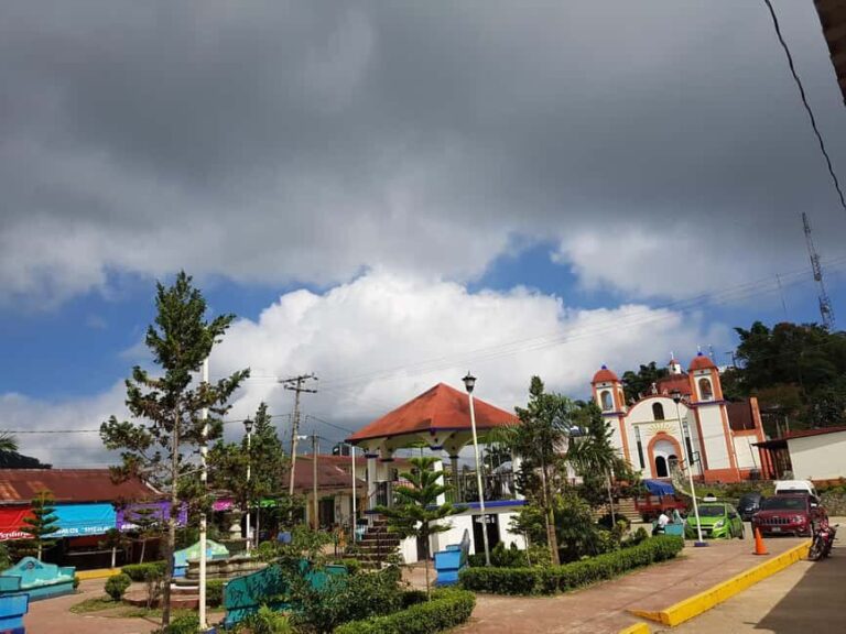 From Huatulco: 3 Levels, Coffee, Culture, and Nature Tour - Who Will Love This Tour?