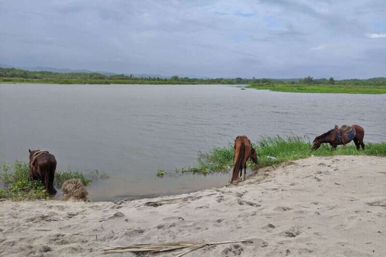 From Huatulco: Beach Horseback Riding Experience - What to Expect from the Beach Horseback Riding Experience