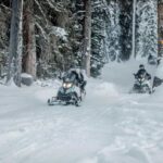 From Jackson: Yellowstone Grand Canyon Snowmobile Tour - The Value of the Tour