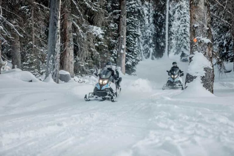 From Jackson: Yellowstone Grand Canyon Snowmobile Tour - The Value of the Tour