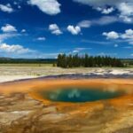 From Jackson: Yellowstone National Park Day Trip with Lunch - What Travelers Are Saying