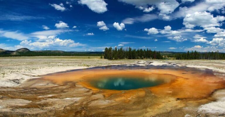 From Jackson: Yellowstone National Park Day Trip with Lunch - What Travelers Are Saying