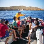 From Kihei: Molokini Crater and Turtle Town Snorkeling - Introduction to the Tour Experience