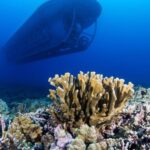 From Kona: Big Island Underwater Submarine Adventure - Final Thoughts