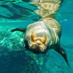 From La Paz: Espiritu Santo Island Adventure - The Price and Its Value