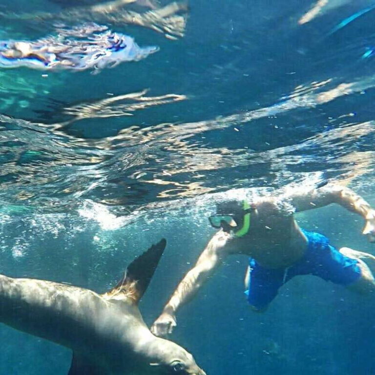 From La Paz: Espíritu Santo Island Tour all inclusive - What’s Included and What You Might Want to Know