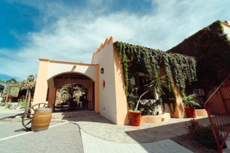 From La Playa: Vineyard Tour w/ Tasting & Todos Santos Stop - Whats Included and Whats Not
