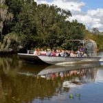 From Lafitte: Swamp Tours South of New Orleans by Airboat - The Experience: What to Expect on the Tour