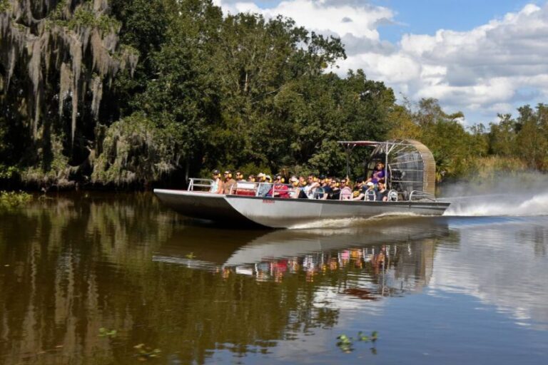 From Lafitte: Swamp Tours South of New Orleans by Airboat - The Experience: What to Expect on the Tour