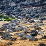 From Lahaina, Maui: Road to Hana Tour - The Experience in Practice