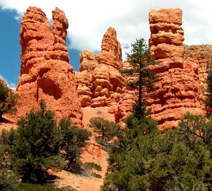 From Las Vegas: Bryce Canyon and Zion Park Combo Tour - The Details That Matter