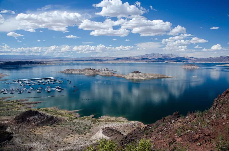 From Las Vegas: Lake Mead Wildlife & Seven Magic Mountains - What Makes This Tour Stand Out?