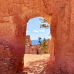 From Las Vegas: Private Bryce Canyon Hiking Tour - What the Reviews Say