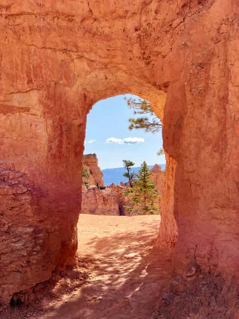 From Las Vegas: Private Bryce Canyon Hiking Tour - What the Reviews Say