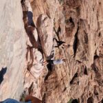 From Las Vegas: Red Rock Electric Car Self Drive Adventure - Who Is This Tour Best For?