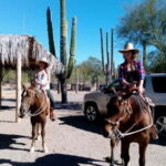 From Loreto: Baja Desert Horseback Riding Tour - The Experience and the Landscape