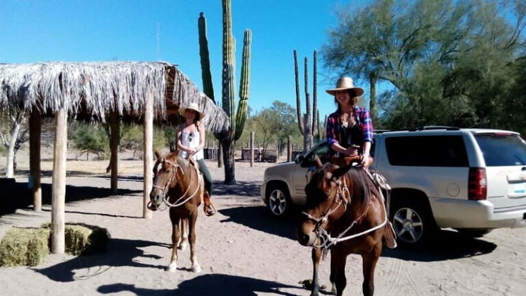 From Loreto: Baja Desert Horseback Riding Tour - The Experience and the Landscape