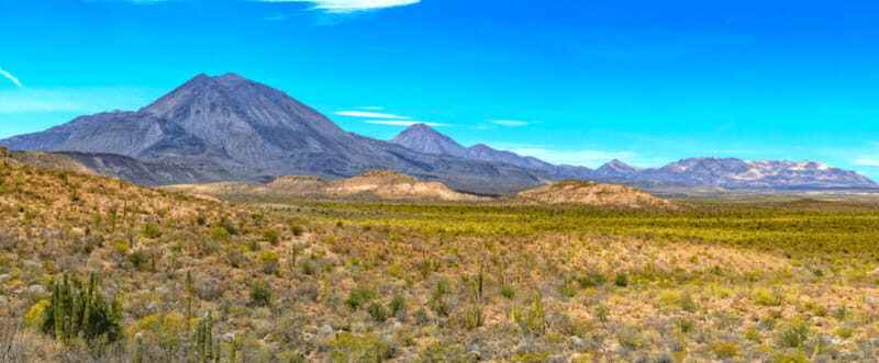 From Los Cabos: City Tour La Paz, Balandra and Todos Santos - Real Traveler Perspectives