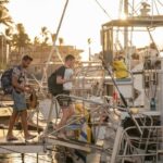 From Ma'alaea: Afternoon Whale Watch Tour Aboard the Malolo - The Value and Price